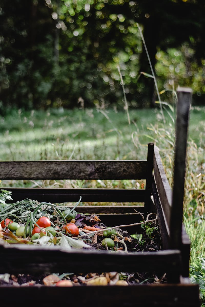 Bac à compost en bois dans un jardin avec déchets organiques et légumes