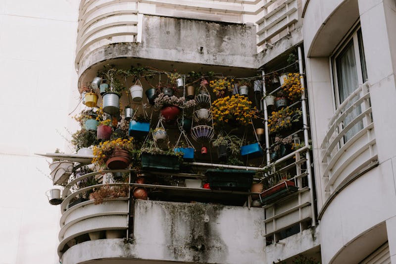 Bacs et jardinières de plantes sur un balcon ensoleillé