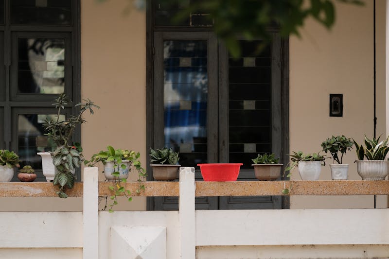Plantes en pots sur un balcon verdoyant avec bac rouge