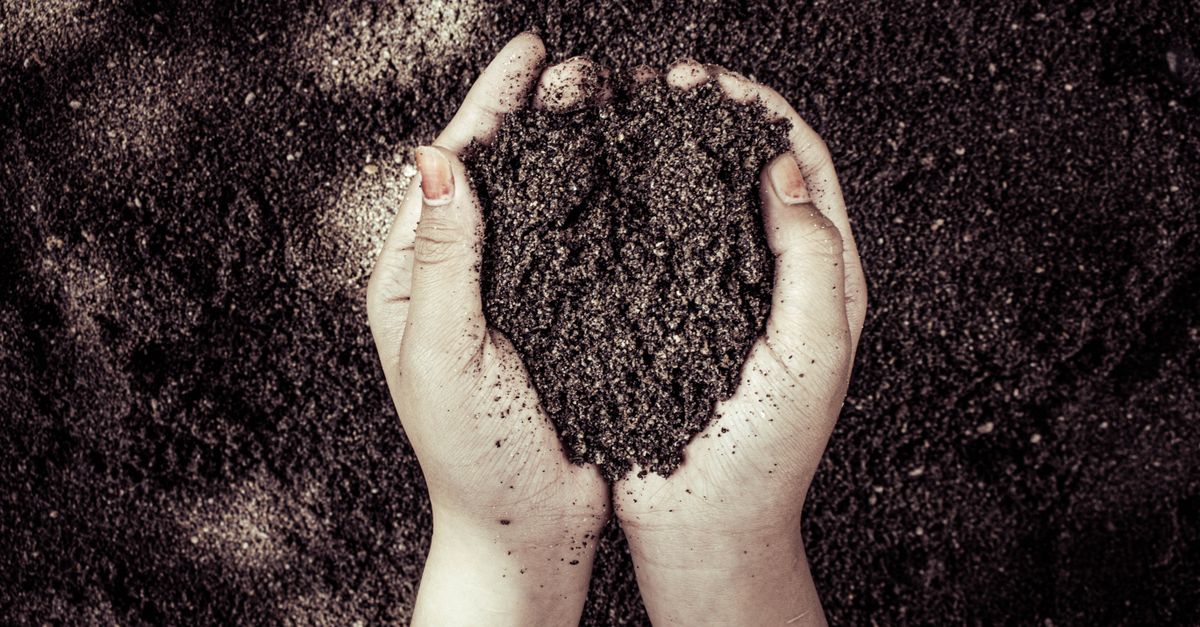 Terre de jardin tenue dans les mains