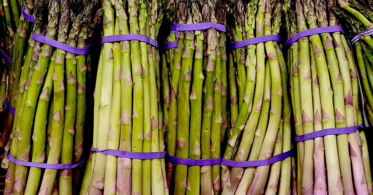 Bottes d\x27asperges fraîchement coupées