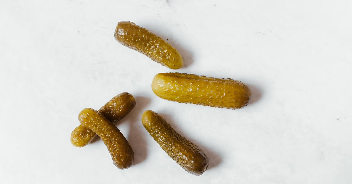 Cornichons fraîchement cueillis