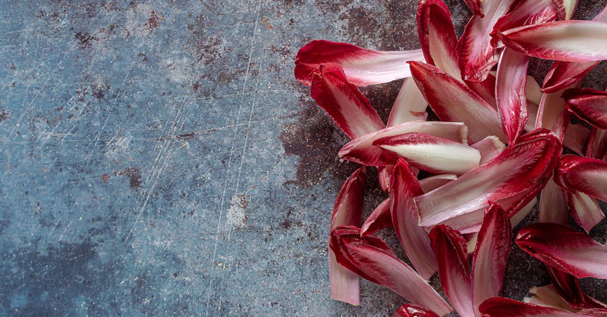 Endives blanches en barquette