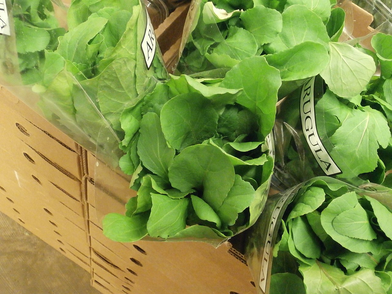 Roquette fraîche en cagette