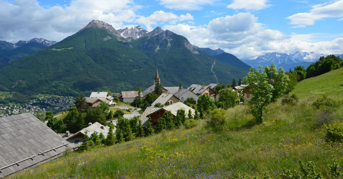 Prairie de montagne en été
